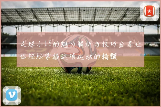 足球小15的魅力解析与技巧分享让你轻松掌握这项运动的精髓
