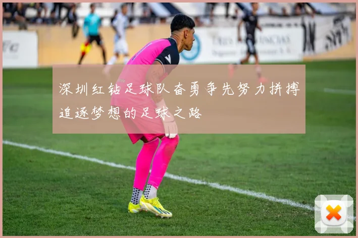 深圳红钻足球队奋勇争先努力拼搏追逐梦想的足球之路