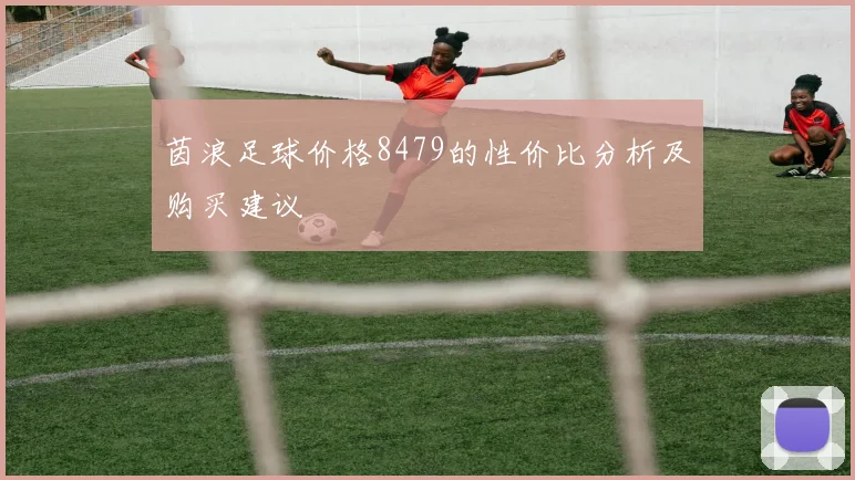 茵浪足球价格8479的性价比分析及购买建议