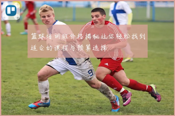 篮球培训班价格揭秘让你轻松找到适合的课程与预算选择