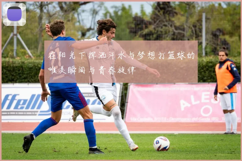 在阳光下挥洒汗水与梦想打篮球的唯美瞬间与青春旋律